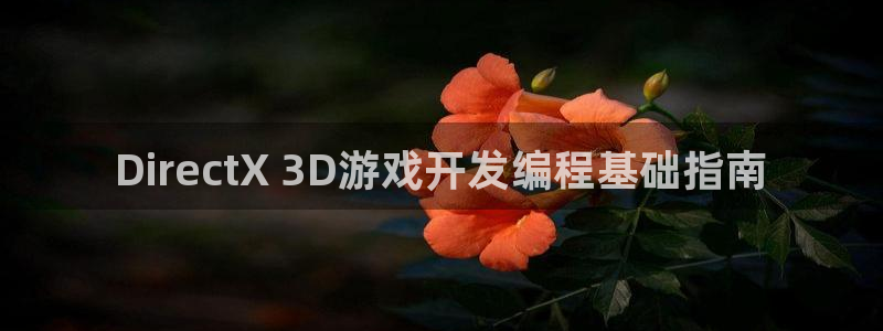 沐鸣娱乐app：DirectX 3D游戏