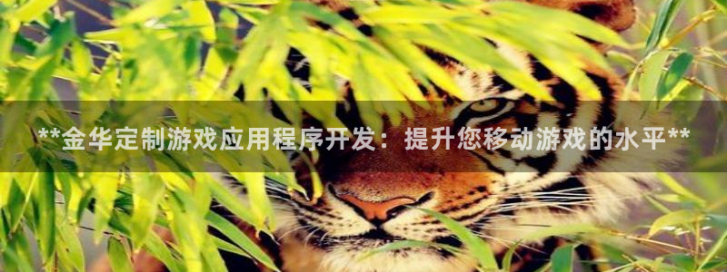 沐鸣4代理：**金华定制游戏应用程序开发