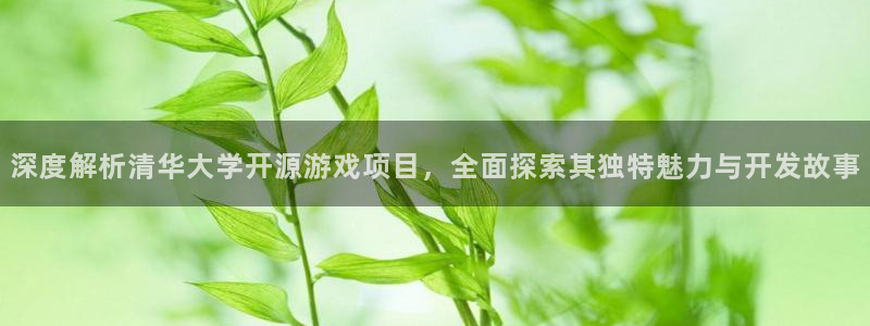 沐鸣咨询：深度解析清华大学开源游戏项目，