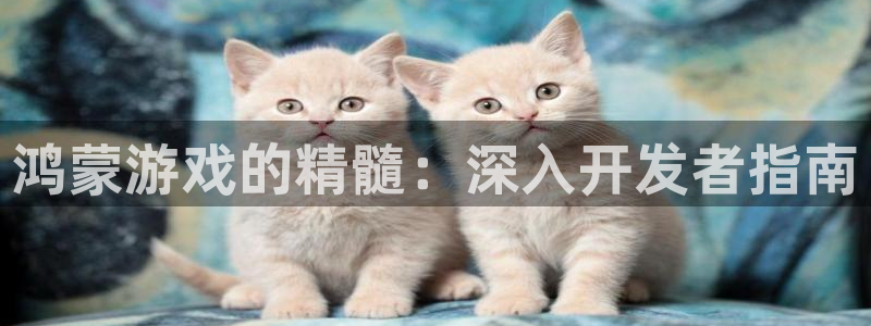 沐鸣登录网址是什么：鸿蒙游戏的精髓：深入