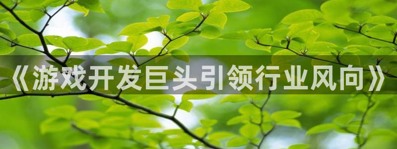沐鸣平台负责人是谁：《游戏开发巨头引领行