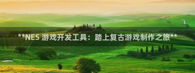 沐鸣娱乐平台登录不上：**NES 游戏开