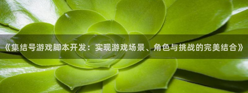 沐鸣开户计划：《集结号游戏脚本开发：实现