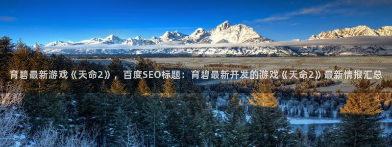 沐鸣注册网站：育碧最新游戏《天命2》，百