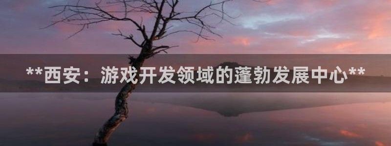 沐鸣4注册：**西安：游戏开发领域的蓬勃