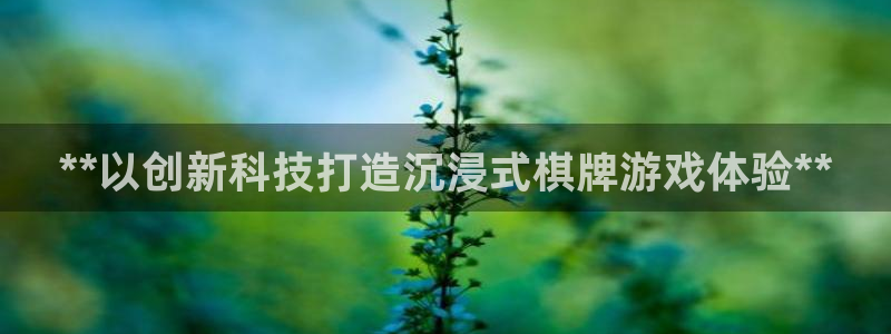 沐鸣科技有哪些产品可以买：**以创新科技