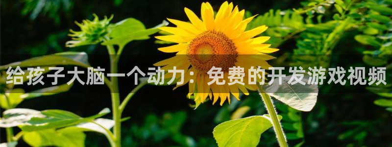 沐鸣娱乐怎么注册：给孩子大脑一个动力：免