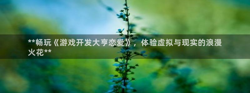 沐鸣科技怎么样知乎：**畅玩《游戏开发大