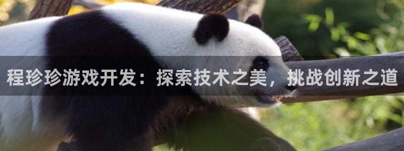 沐鸣娱乐平台登录不上：程珍珍游戏开发：探