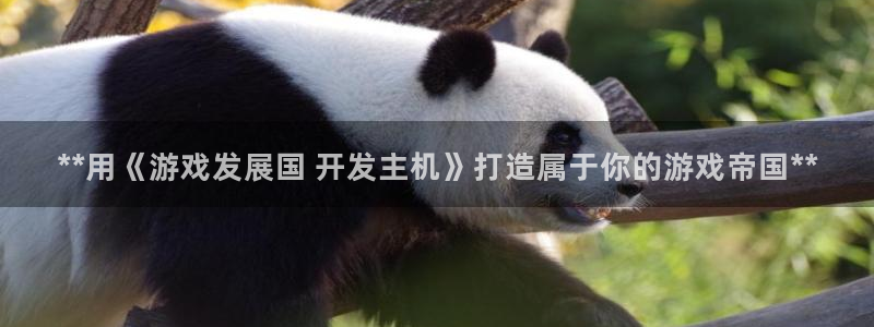 沐鸣娱乐llapp下载：**用《游戏发展