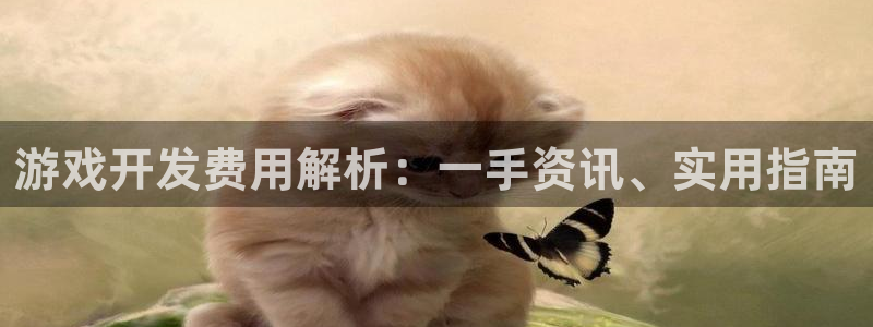 沐鸣平台是黑平台吗：游戏开发费用解析：一