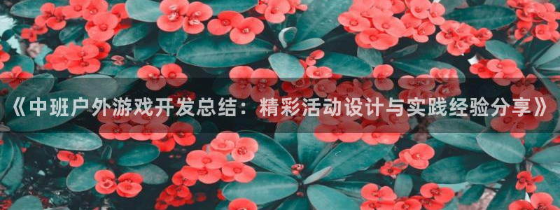 沐鸣娱乐股东：《中班户外游戏开发总结：精