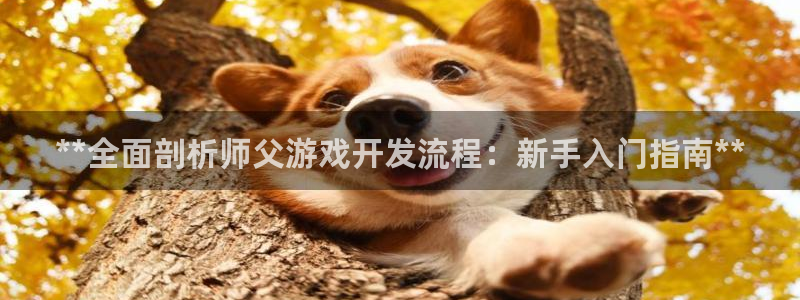 沐鸣科技游戏：**全面剖析师父游戏开发流