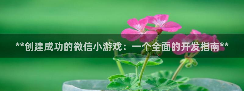 沐鸣娱乐官方网站首页：**创建成功的微信